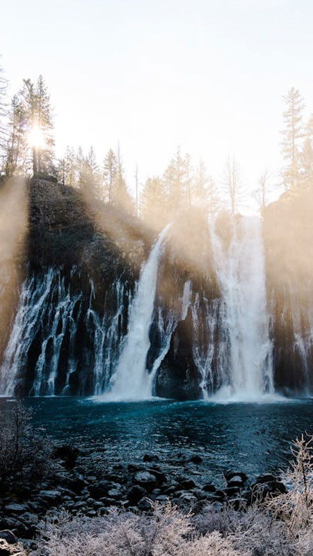 Bình minh trên núi với mặt trời ló dạng sau rặng cây và sương mờ