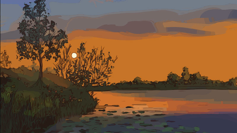 Bình minh vàng trên cánh đồng lúa chín