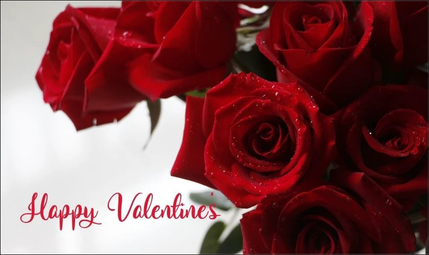 Bó hoa hồng đỏ, biểu tượng cổ điển của ngày Valentine
