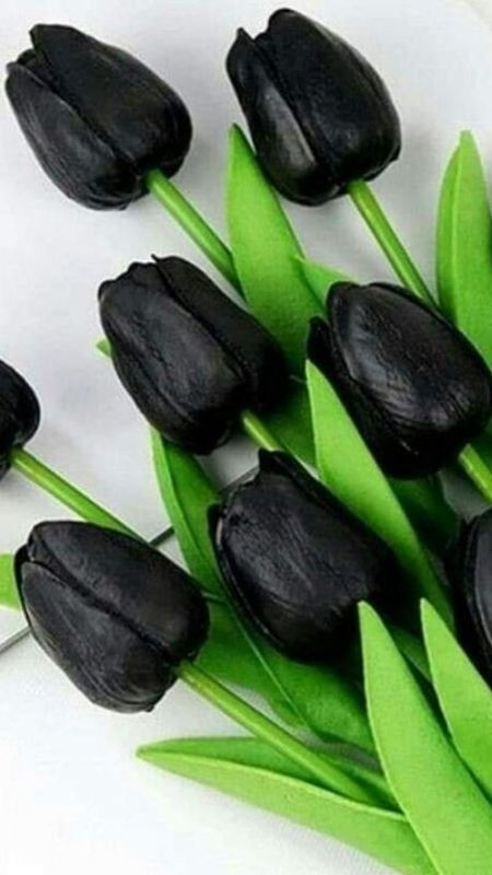 Bó hoa tulip đen trên nền giấy trắng nổi bật