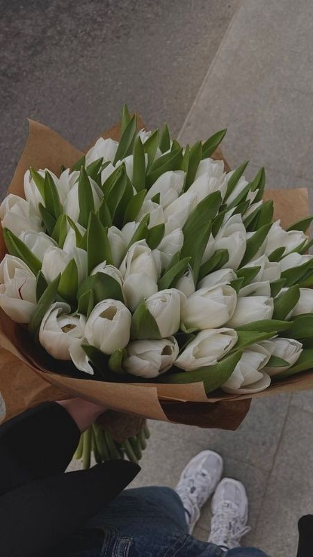 Bó hoa tulip lớn dành tặng cho nàng vào mùa xuân Hà Lan