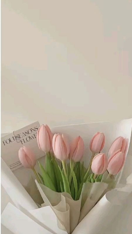 Bó hoa tulip tươi trẻ, nhẹ nhàng và thơ mộng dành cho nàng