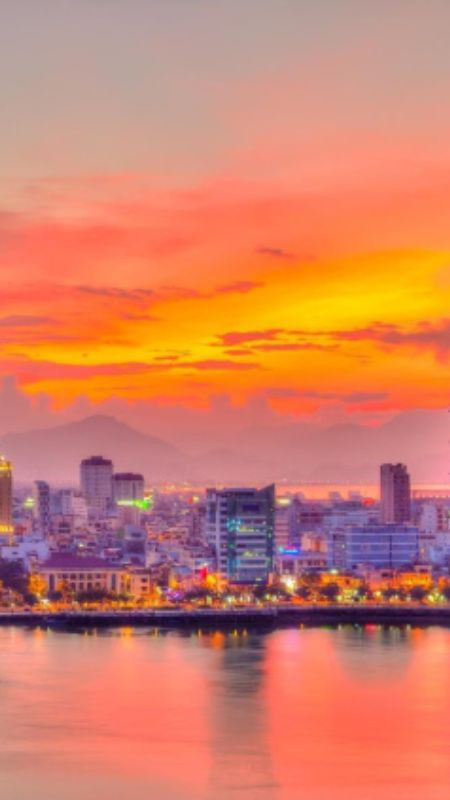 Bóng cây đơn độc dưới bầu trời hoàng hôn buồn