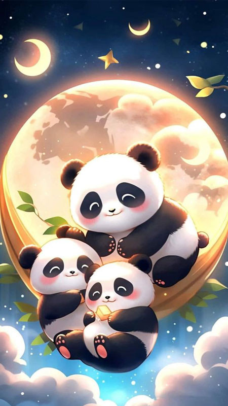 Bức ảnh gấu Panda dễ thương đang nằm thư giãn