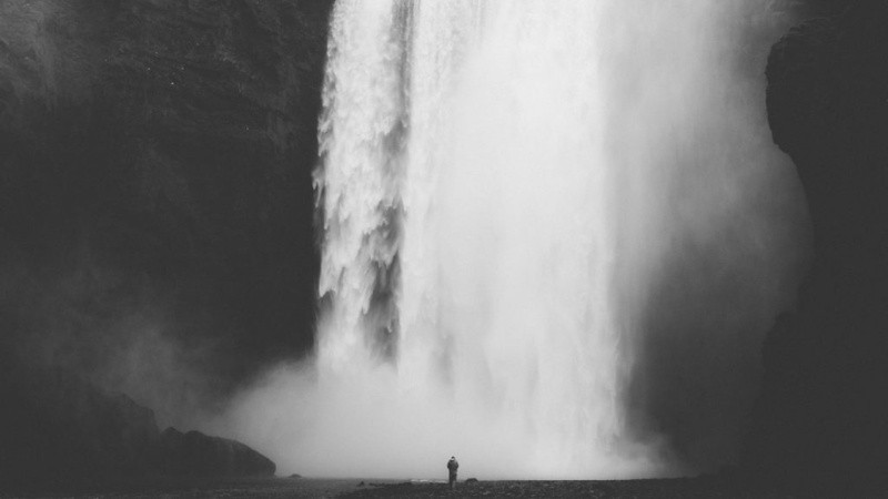 Vẻ Đẹp Vượt Thời Gian Của Ảnh Trắng Đen Bức ảnh phong cảnh đơn sắc cây cối và mặt nước