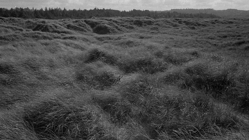 Vẻ Đẹp Vượt Thời Gian Của Ảnh Trắng Đen Bức ảnh phong cảnh đơn sắc thể hiện sự tĩnh lặng