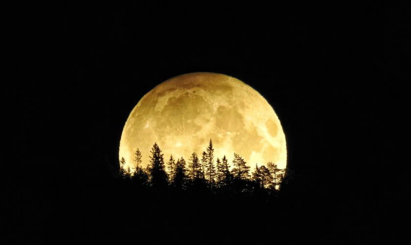 Bức ảnh vầng trăng tròn vành vạnh trên nền trời đêm Trung Thu