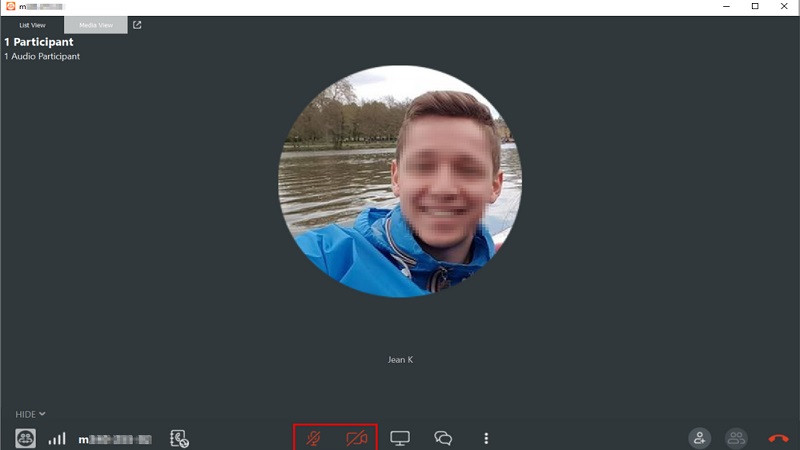 Các biểu tượng bật/tắt micro và camera trong giao diện cuộc họp TeamViewer