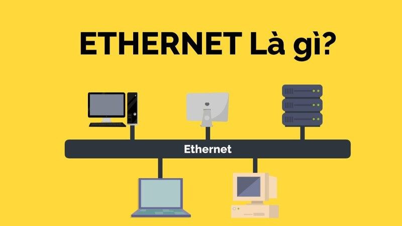 Các loại cáp mạng Ethernet phổ biến: cáp đồng trục, cáp xoắn đôi (UTP/STP) và cáp quang
