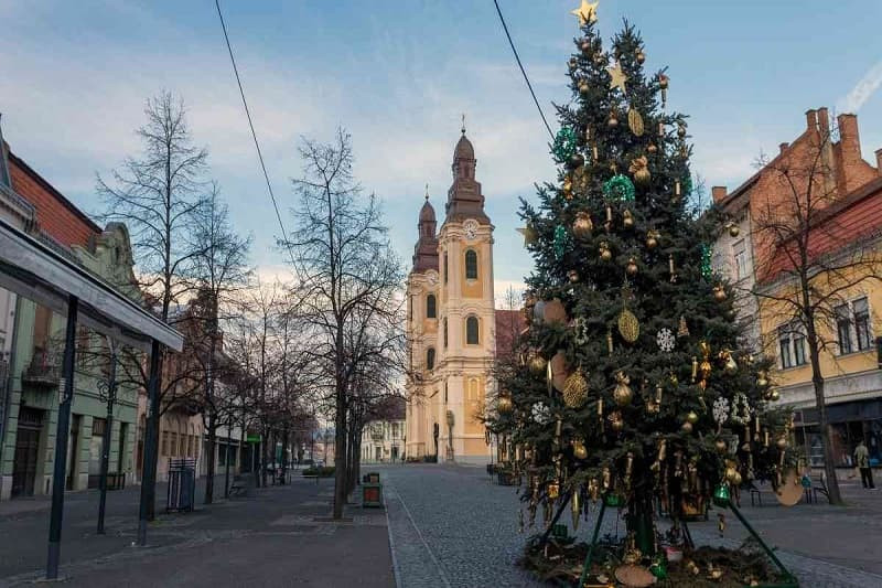 Các món đồ trang trí độc đáo trên cây thông Noel dễ thương