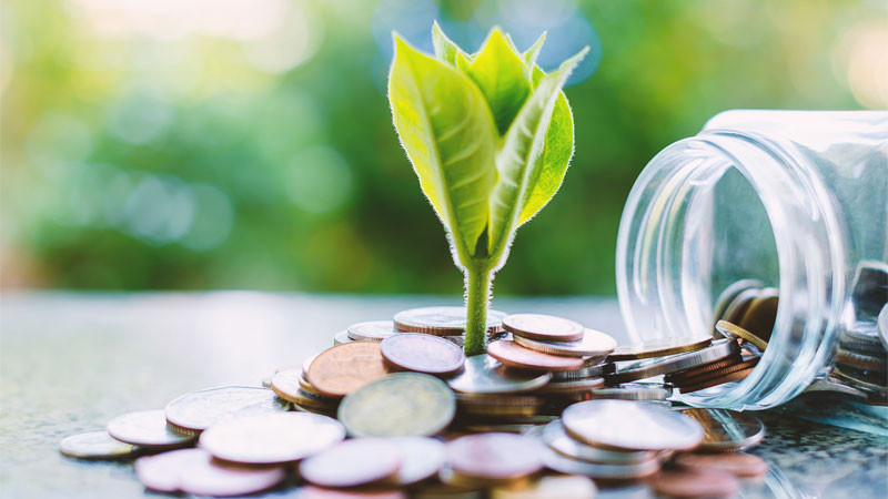 Các yếu tố cần lưu ý để sử dụng NPV hiệu quả trong đánh giá dự án