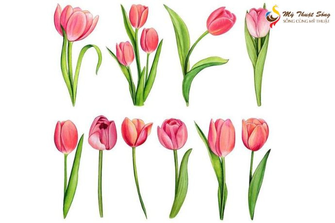 cách vẽ hoa tulip bằng màu nước