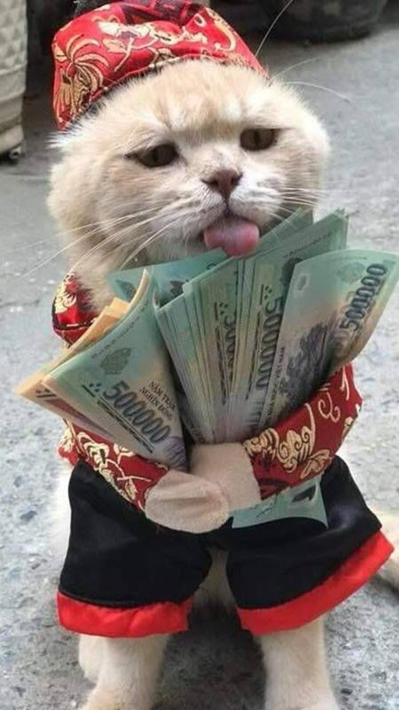 Tuyển Chọn Hình Ảnh Tiền 500k Đẹp Thịnh Vượng Cận cảnh bề mặt tờ hình ảnh tiền 500k với các chi tiết hoa văn