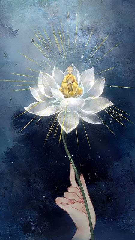 Cận cảnh nụ hoa sen hồng chuẩn bị nở