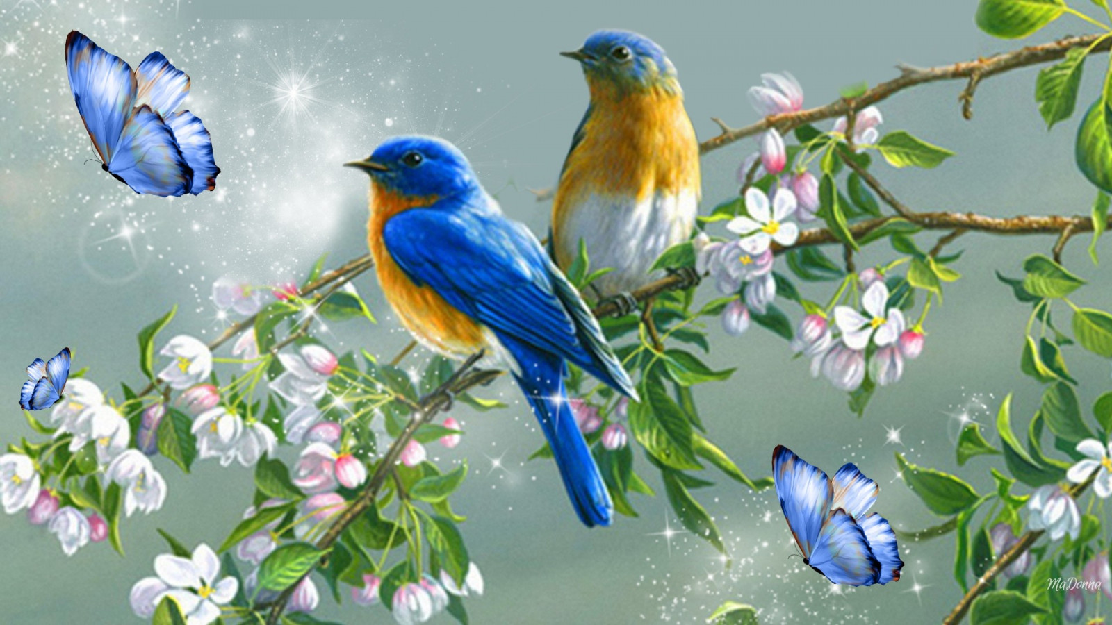 Cánh bướm sặc sỡ giữa vườn hoa khoe sắc ngày xuân