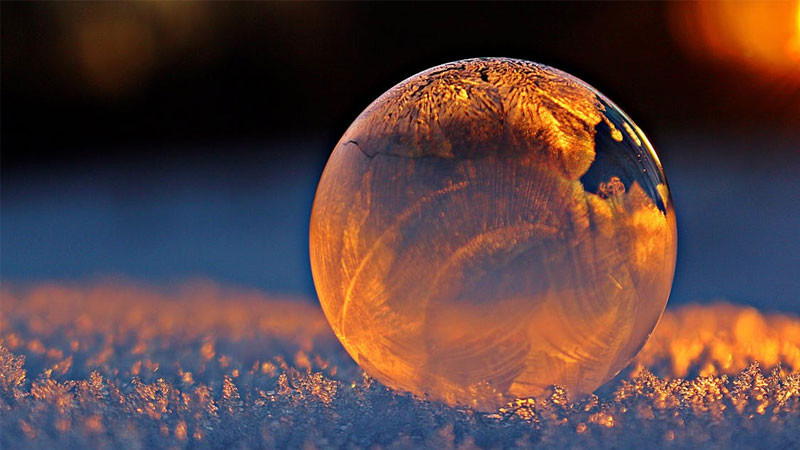 Cảnh buồn mùa đông với cây trơ trụi và tuyết