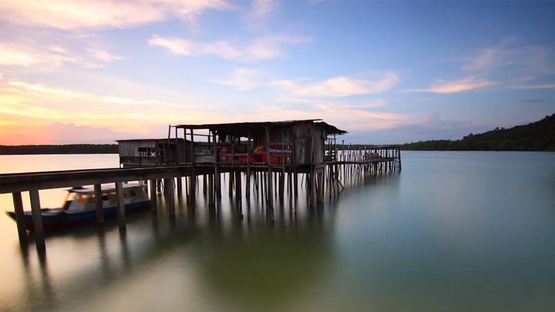 Cảnh buồn phong cảnh một mình với cây trên đồi