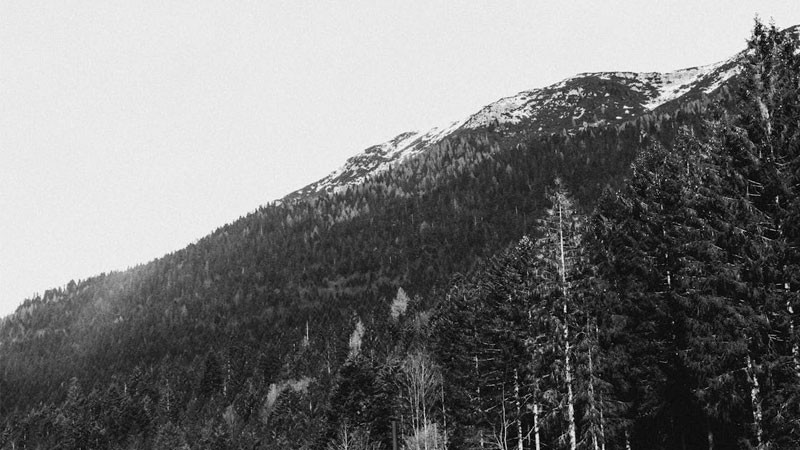 Cảnh buồn trắng đen với con đường vắng