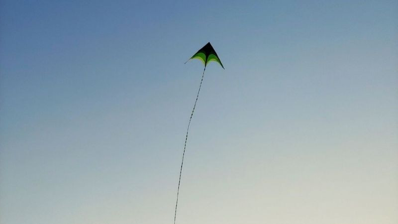 Cánh diều bay cao vút trên bầu trời