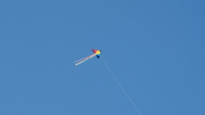 Cánh diều nhiều màu sắc trên bầu trời xanh