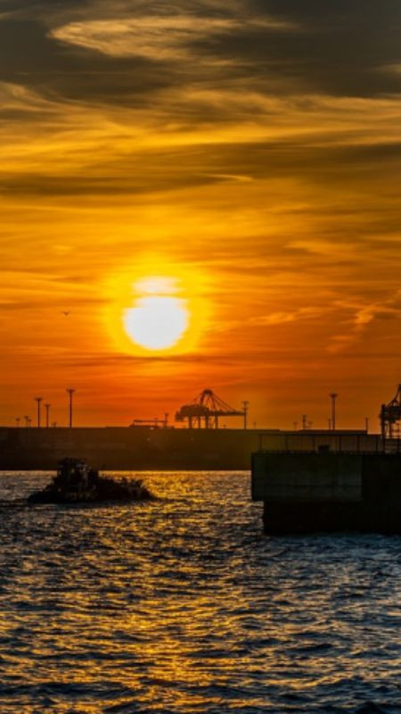 Cánh đồng cỏ dưới bầu trời hoàng hôn u buồn