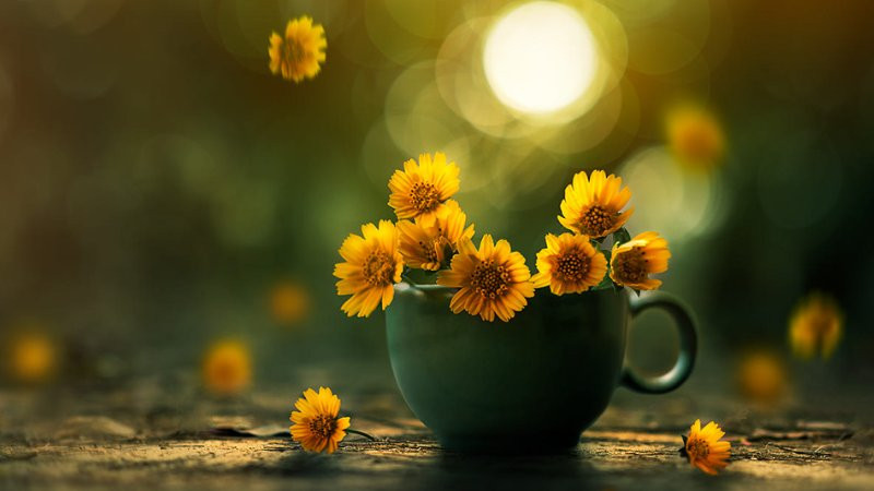 Cảnh hoàng hôn mùa xuân với mây trắng và ánh nắng vàng cam