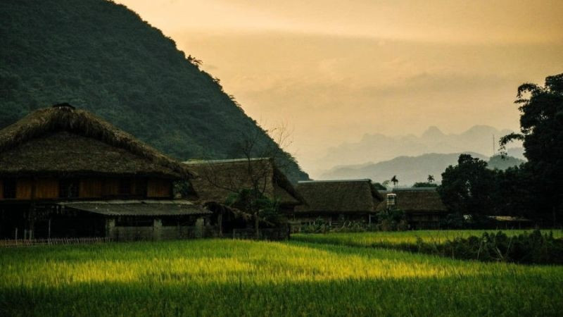 Cảnh hoàng hôn nhuộm vàng cả bầu trời và phản chiếu xuống mặt nước trên một cánh đồng lúa