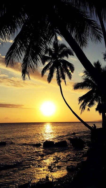 Cảnh hoàng hôn trên biển với thuyền buồm nhỏ lướt nhẹ trên mặt nước phản chiếu ánh sáng