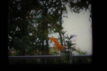 Khung cảnh thiên nhiên yên bình với màu xanh bầu trời và cây cỏ, thể hiện sự tĩnh lặng