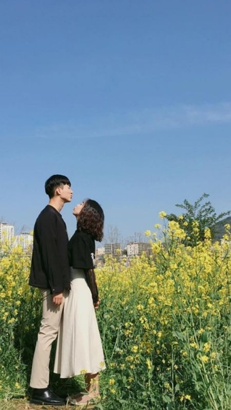 Cặp đôi chụp ảnh trên cánh đồng hoa vàng