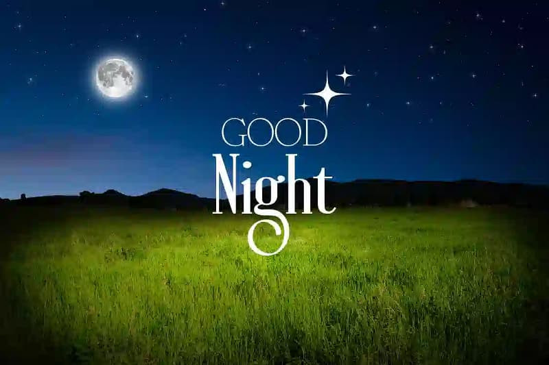 Cặp đôi lãng mạn trong hình ảnh chúc ngủ ngon dưới ánh trăng