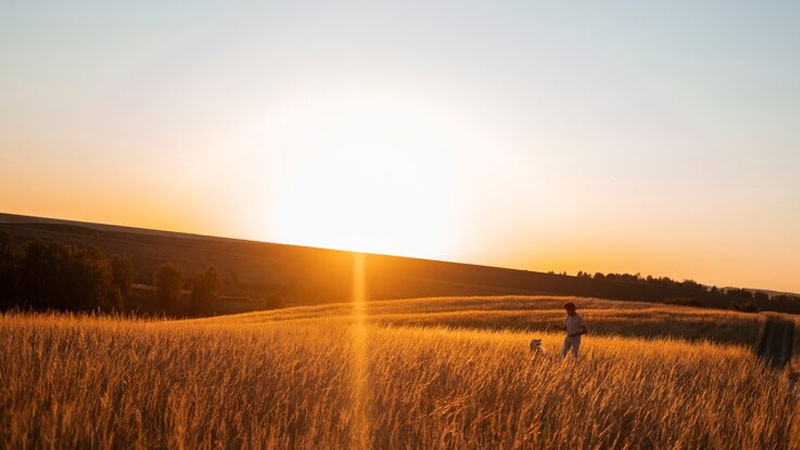 Cầu Golden Gate trong ánh nắng bình minh