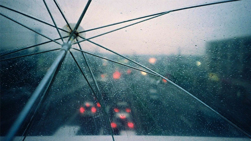 Cây khô đơn độc giữa không gian trống trải, hình ảnh buồn khóc của sự lạc lõng