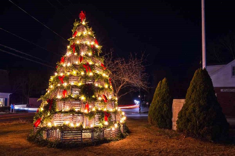 Cây thông Noel đầy đặn với các loại đồ trang trí rực rỡ