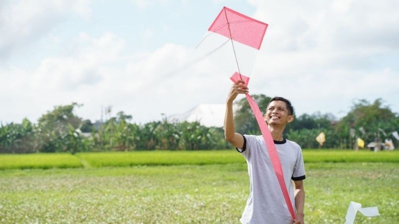 Chàng trai thả diều trên đồng ruộng