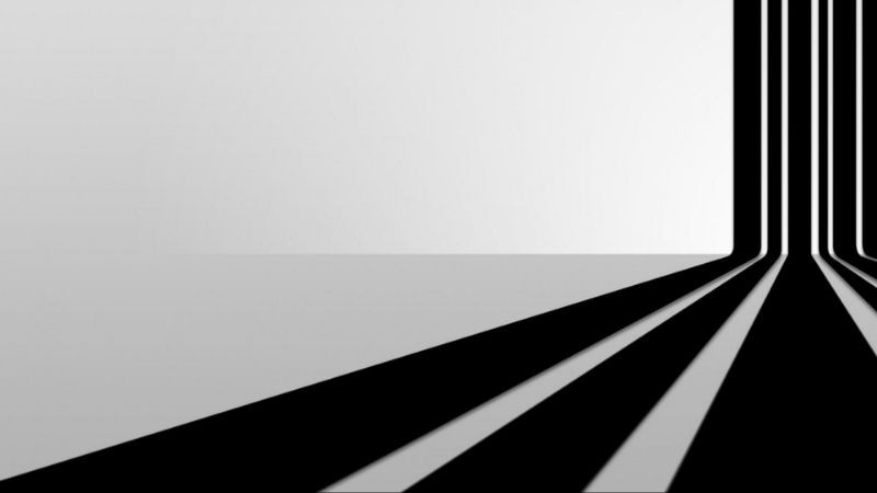 Chiếc lá rơi trên nền đất, tông đen trắng, ảnh màu trắng đen độc lạ