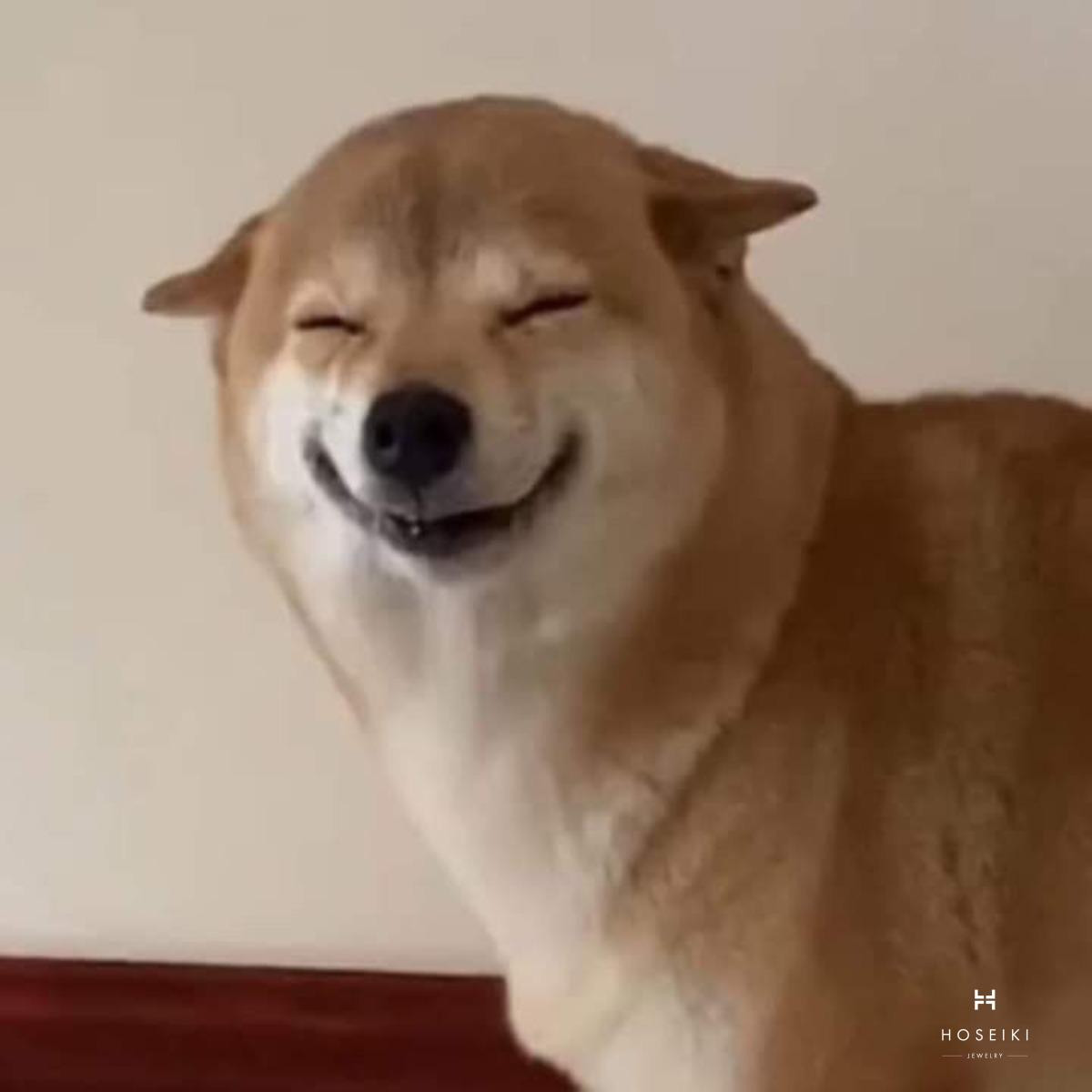 Chó meme với đôi mắt mở to, biểu cảm ngạc nhiên đầy hài hước