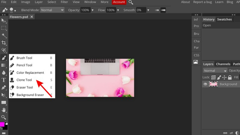 Chọn nguồn để sao chép bằng công cụ Clone Stamp trong Photopea