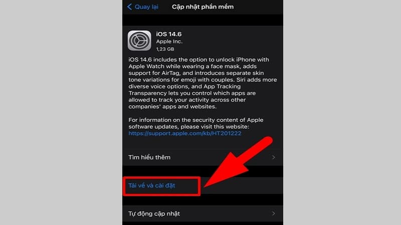 Chọn Tải về và cài đặt để cập nhật phiên bản iOS mới nhất