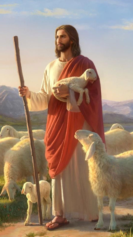 Chúa Giêsu Mục Tử đang dẫn dắt đàn cừu đi trên đồng cỏ xanh