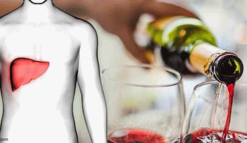 Giải mã hiện tượng uống bia mặt trắng là nhóm máu gì Hinh minh hoa qua trinh chuyen hoa ruou thanh doc to acetaldehyde gay mat trang khi uong bia