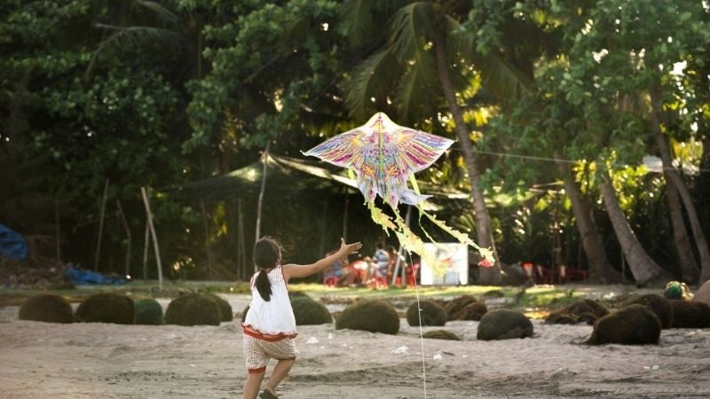 Cô bé đuổi theo cánh diều