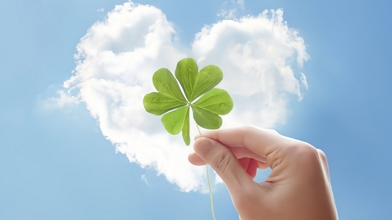 Cỏ bốn lá được vẽ theo phong cách hoạt hình đơn giản