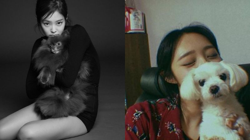 Cô gái ôm chó cưng che một phần mặt, tạo dáng chụp ảnh dáng đẹp che mặt đáng yêu