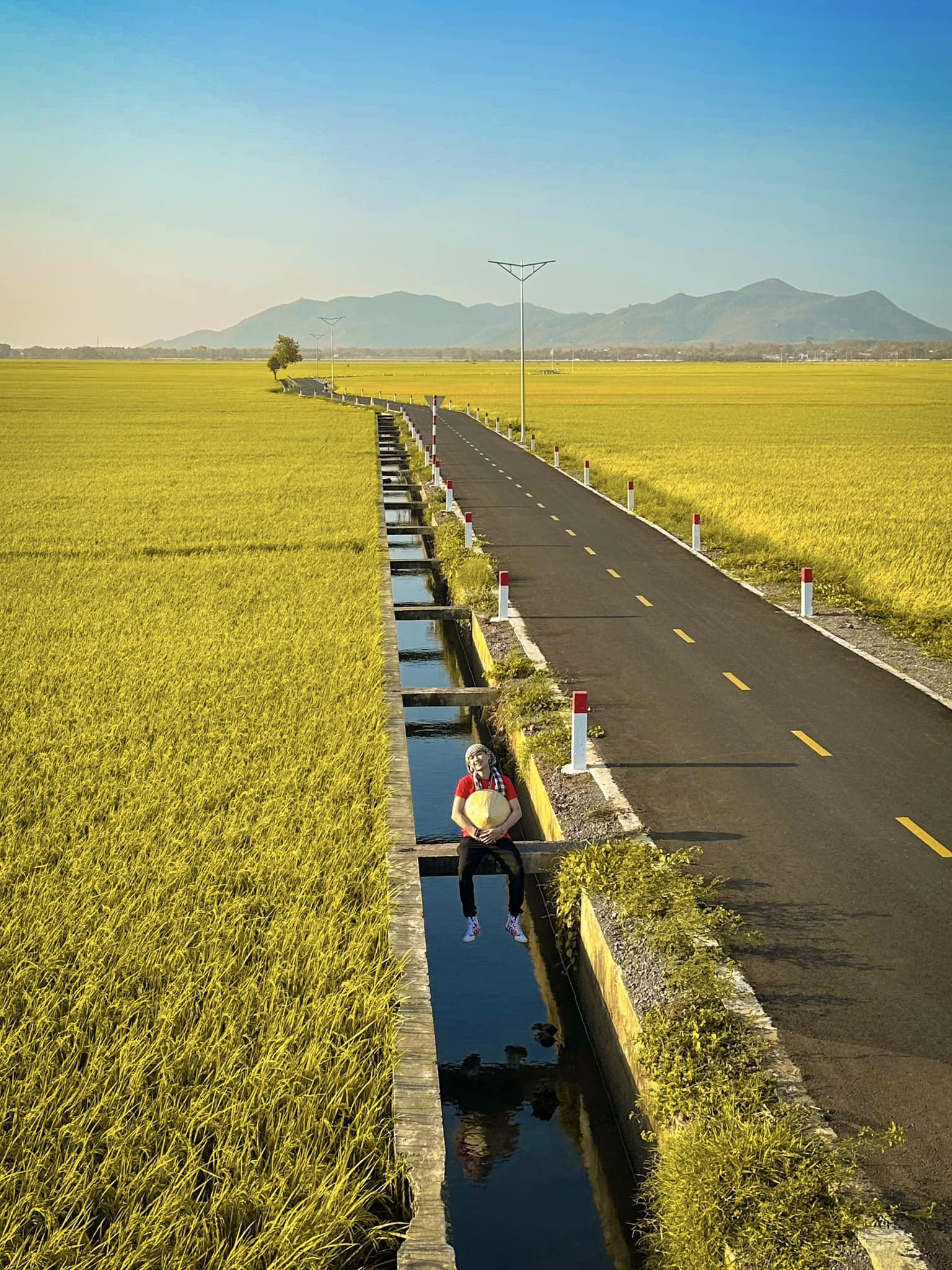 Con đường đất nhỏ giữa cánh đồng lúa, mang đến cảm giác bình dị và yên ả