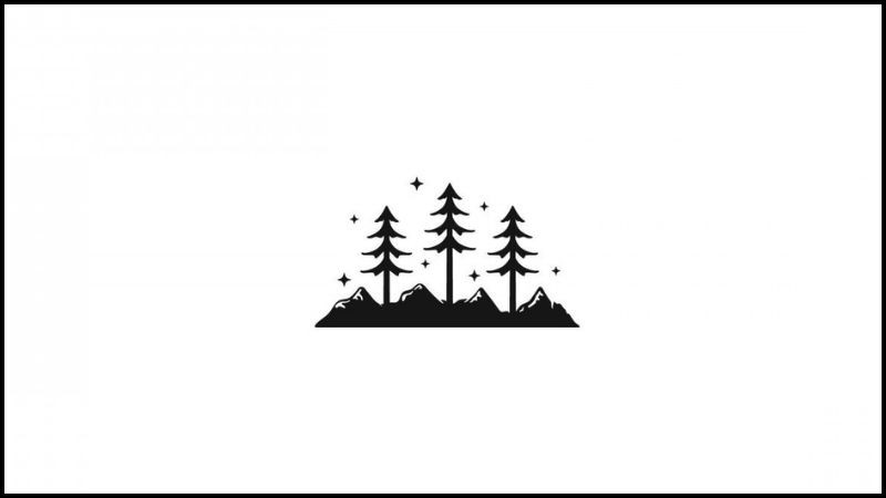 Con đường mờ ảo trong sương, tông đen trắng, ảnh màu trắng đen độc lạ