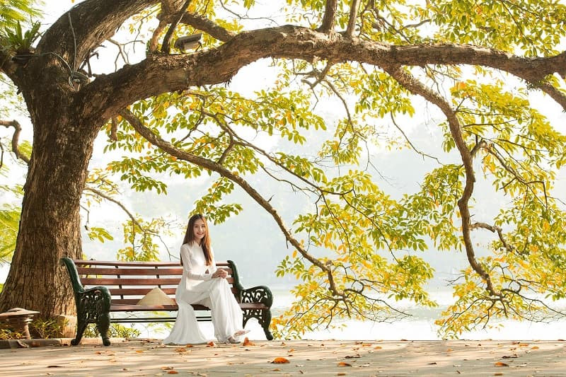 Con đường ở Hà Nội tràn ngập lá vàng rơi vào mùa thu