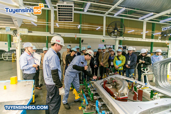 Con đường sự nghiệp sau khi tốt nghiệp Ngành Quản lý Tài nguyên và Môi trường