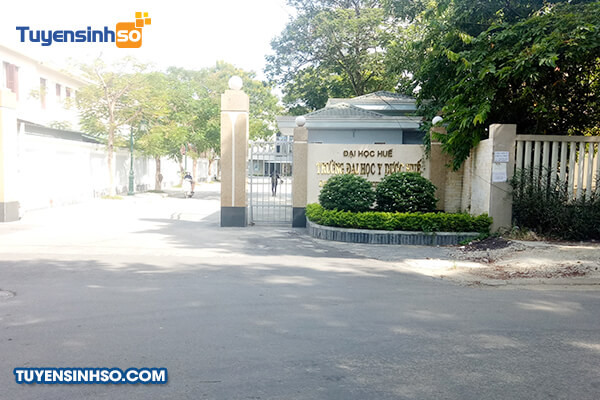 Cổng chính dẫn vào Trường Đại học Y Dược Huế