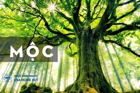 Tránh màu sắc tương khắc mệnh Đại Lâm Mộc: trắng, bạc và vàng kim loại